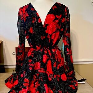 ⭐️HostPick⭐️City Triangles Black & Red Floral Long Sleeve Dress w/ Gold sparkles